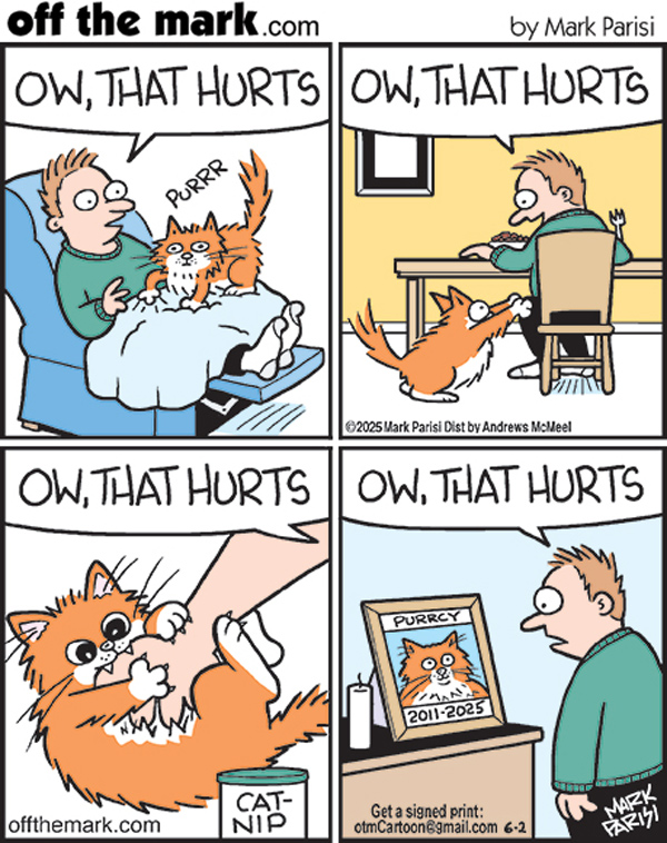 lost cat comic