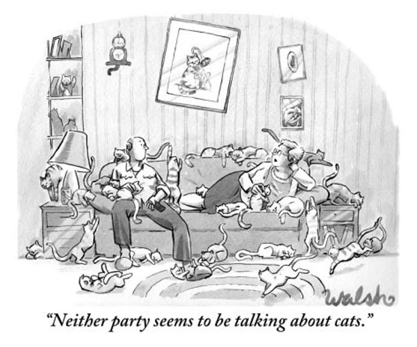 too many cats  comic