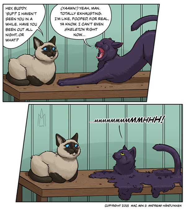 no skeleton cat  comic