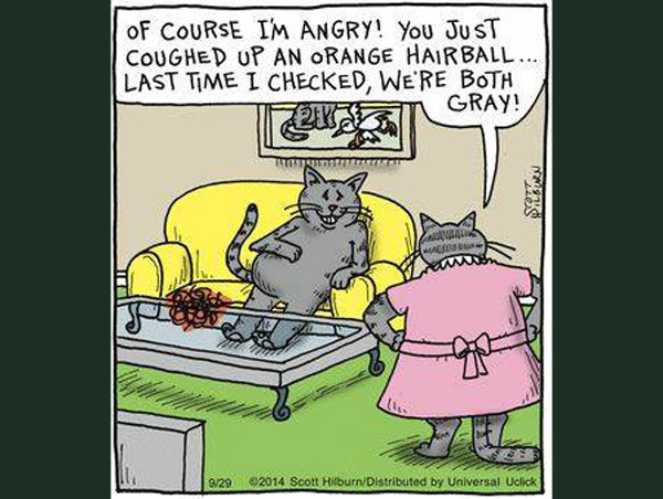 cat hairball comic