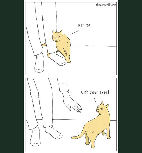 passive aggressive  cats comic