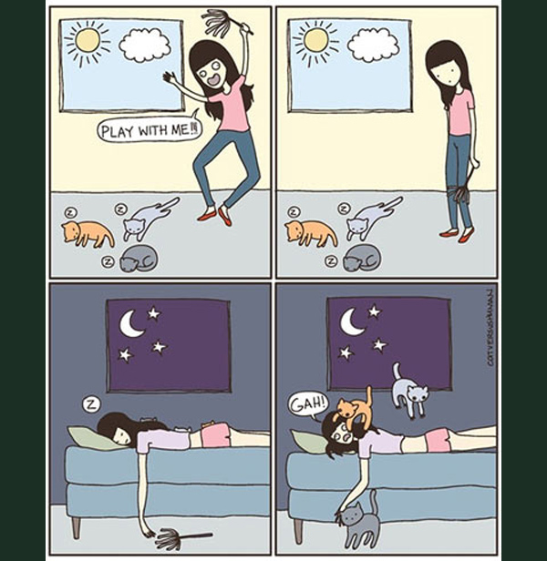 cat don't play comic