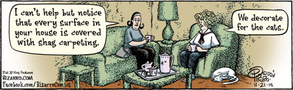 shag carpeting cat comic