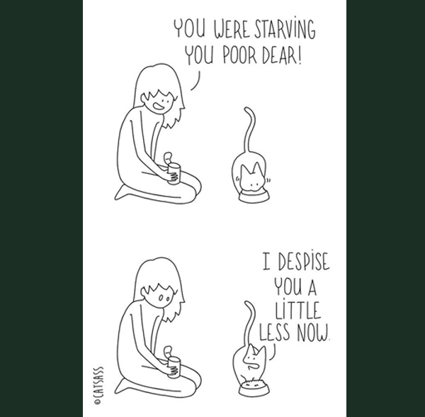 starving kitty  comic