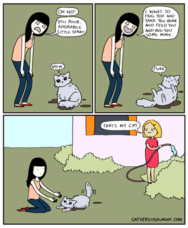 stray cat comic
