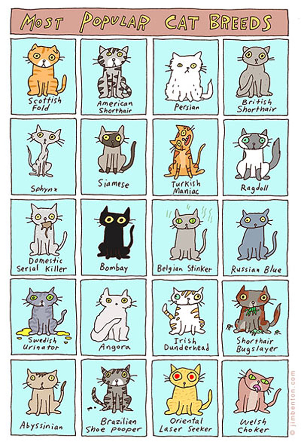 the types of cats  comic