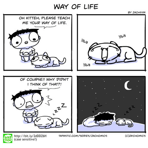the way of the cat comic