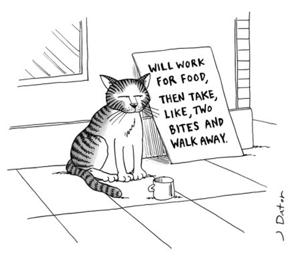 fussy eater cat comic