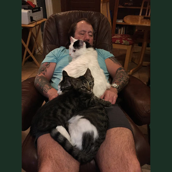 man covered in cats